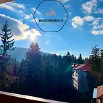 Deluxe 33 Mountain