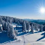 Deluxe 33 Mountain * Pamporovo
