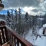 Deluxe 33 Mountain Apartment Pamporovo