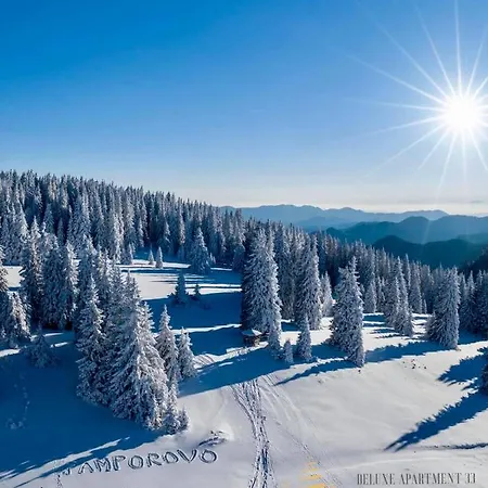 Deluxe 33 Mountain * بامبوروفو