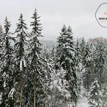 Apartment Deluxe 33 Mountain Pamporovo