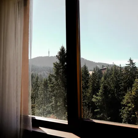 Deluxe 33 Mountain Apartment