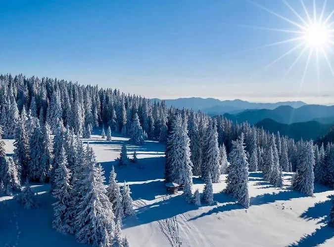 Deluxe 33 Mountain * Pamporowo