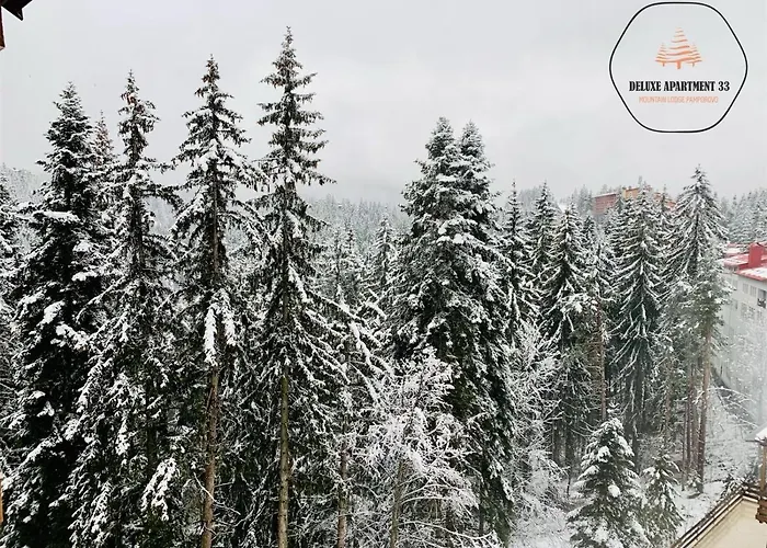 Apartment Deluxe 33 Mountain Pamporovo
