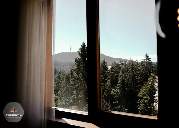 Deluxe 33 Mountain Apartament