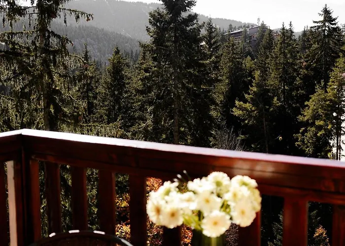 Deluxe 33 Mountain Apartament *