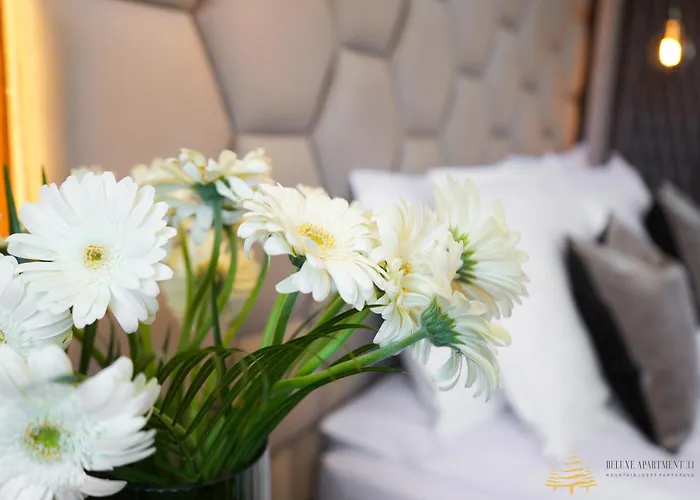 Apartament Deluxe 33 Mountain *